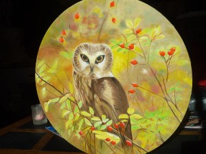 Doux regard Huile D 50